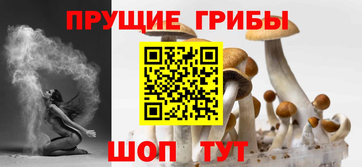 Галлюциногенные грибы Psilocybine cubensis Пушкино